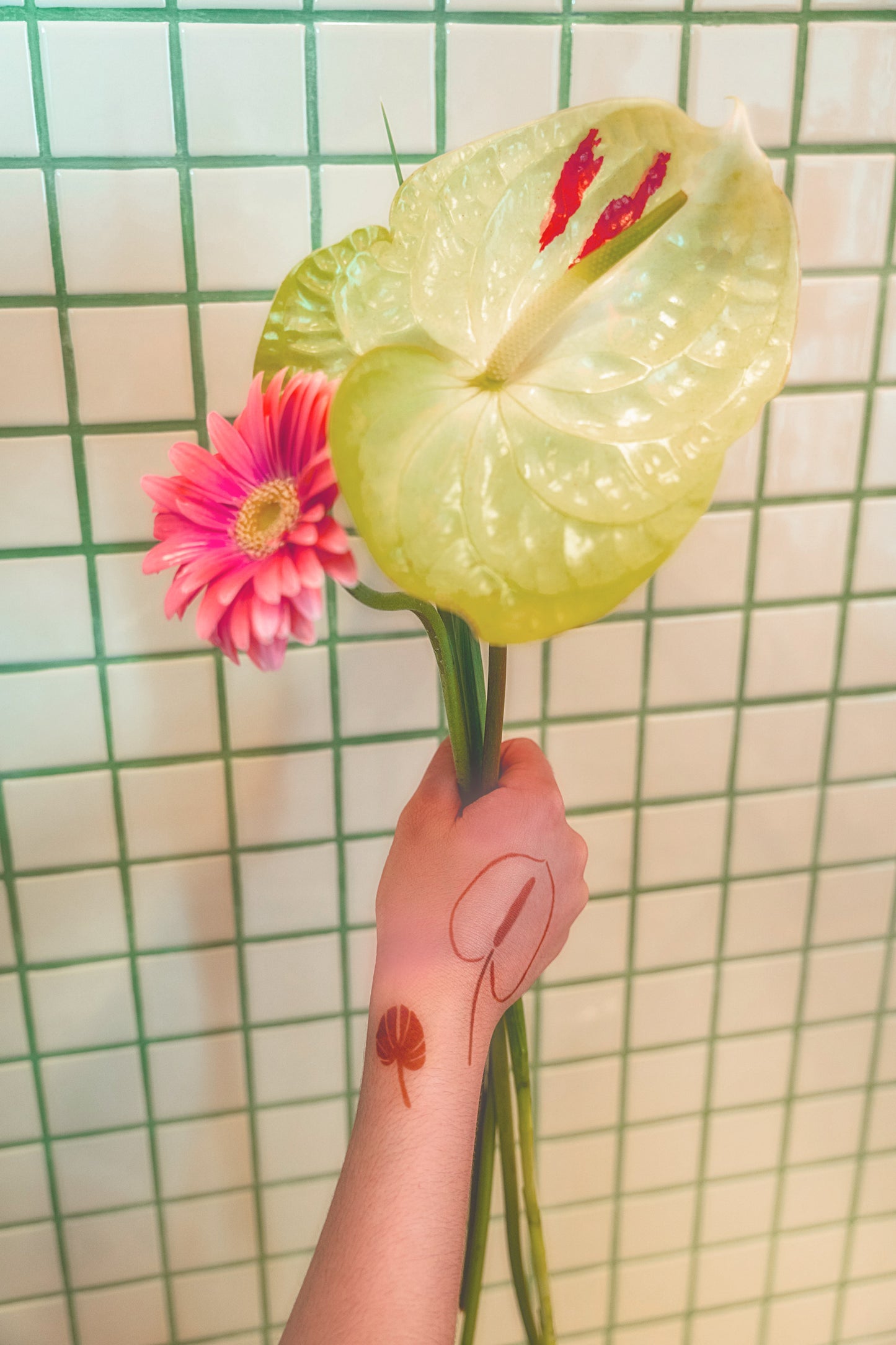 Aumedan x Glamourbox Henna Kit (SPECIAL OFFER)