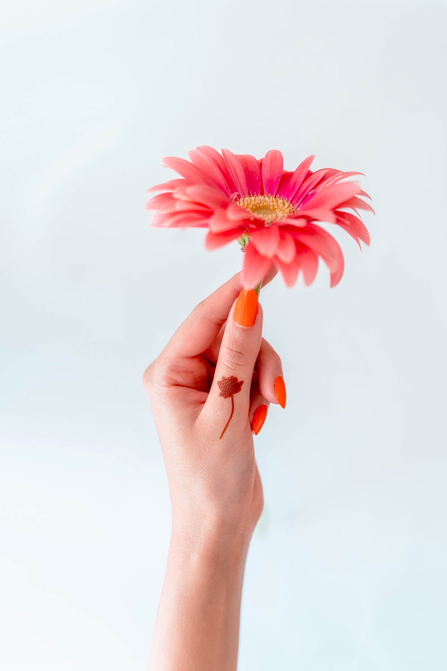 Aumedan x Glamourbox Henna Kit (SPECIAL OFFER)