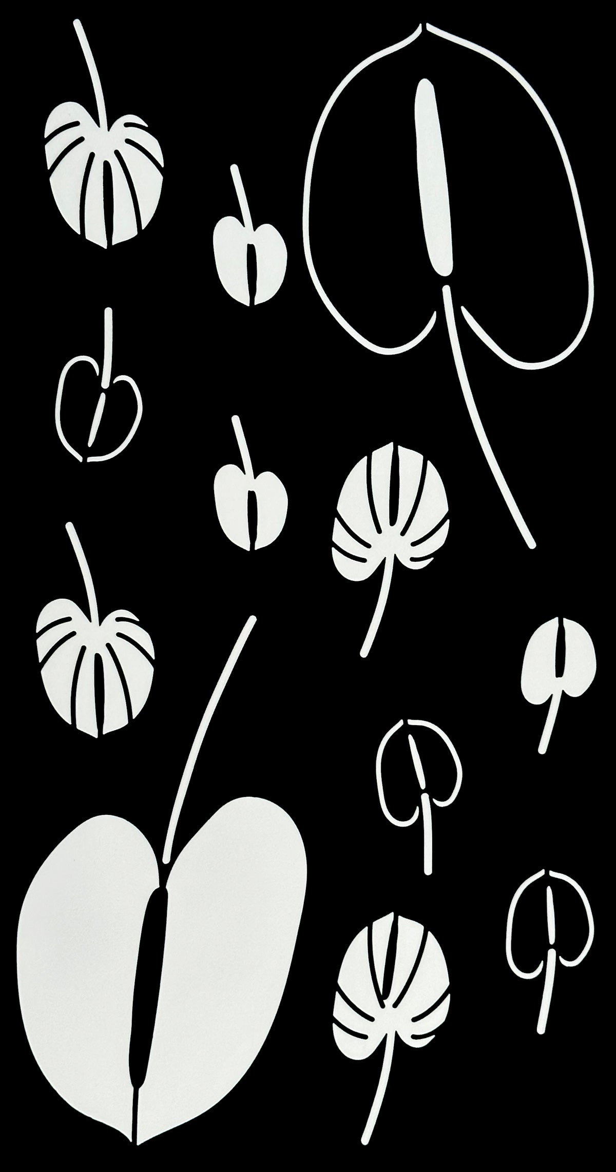 Aumedan x Glamourbox Henna Kit (SPECIAL OFFER)